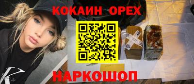 дмт Шелехов