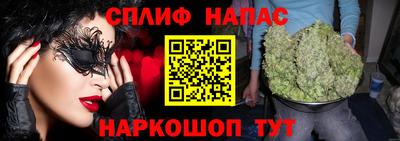 дмт Шелехов