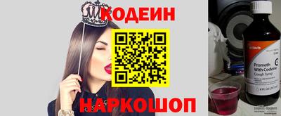 дмт Шелехов