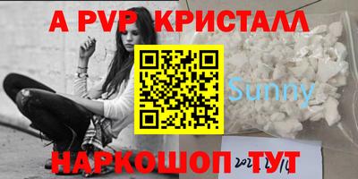 дмт Шелехов